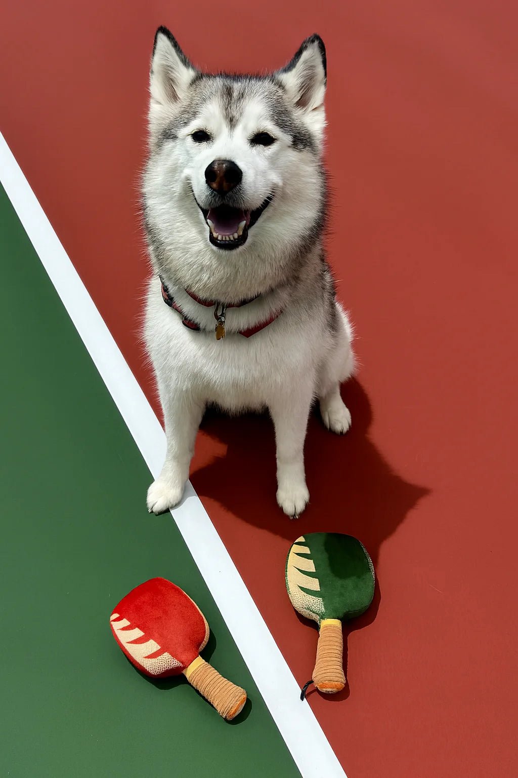 EVERYDAY SOCIAL® - Pickleball Paddle Squeaky Toy (Set of 2)