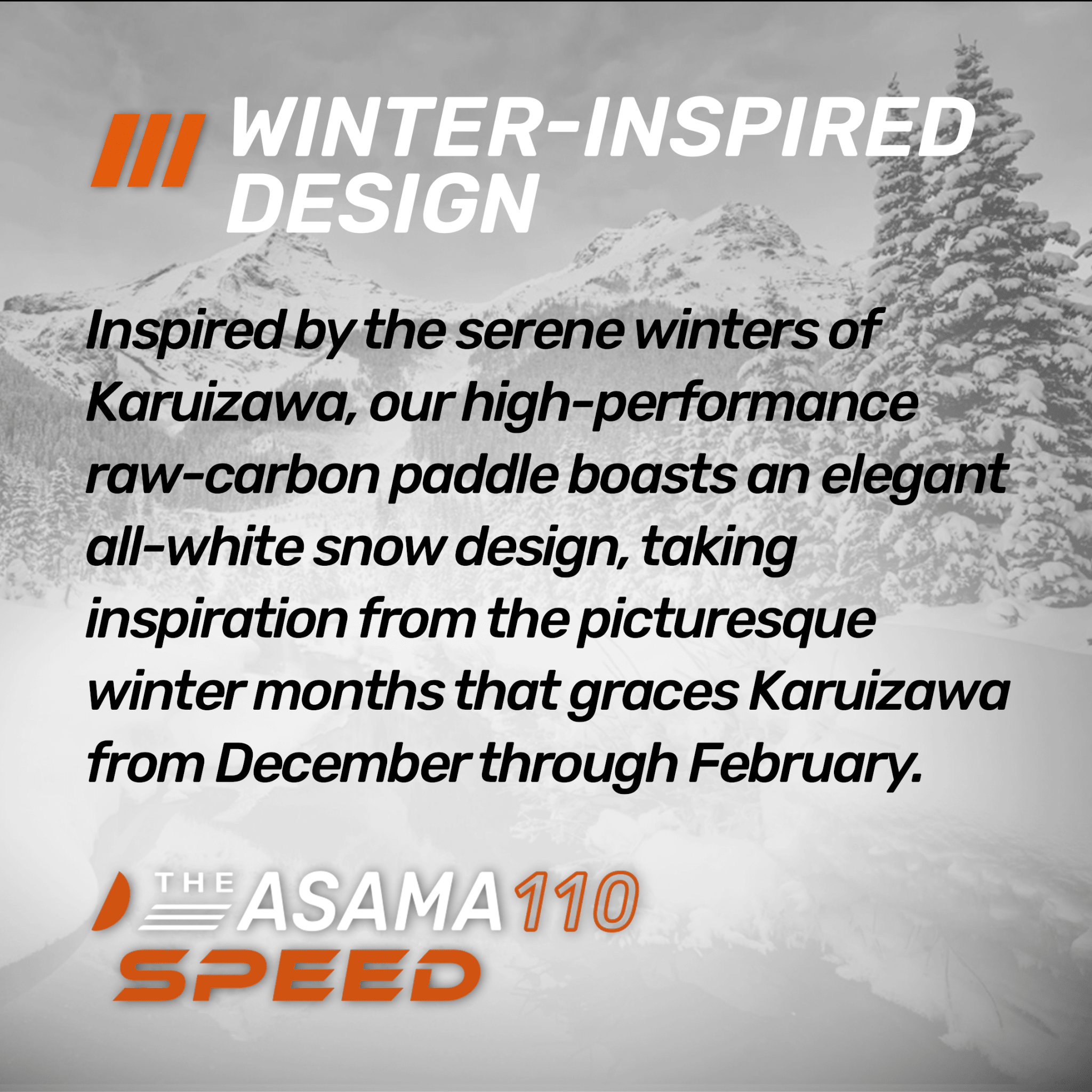 EVERYDAY SOCIAL® - The ASAMA 18k SPEED